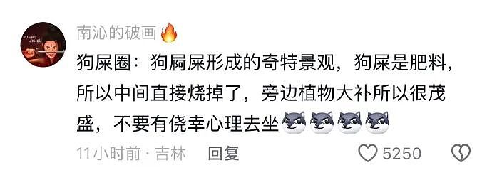 【爆笑】男朋友给不起8.8的彩礼，转身买了20w的车（组图） - 34
