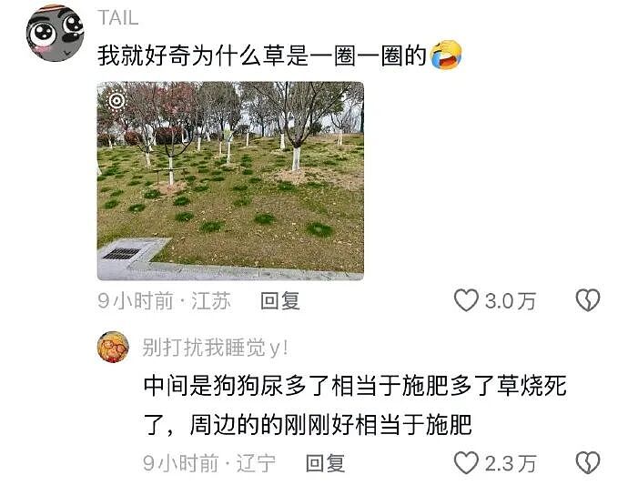 【爆笑】男朋友给不起8.8的彩礼，转身买了20w的车（组图） - 32
