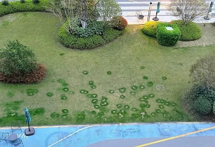【爆笑】男朋友给不起8.8的彩礼，转身买了20w的车（组图） - 30