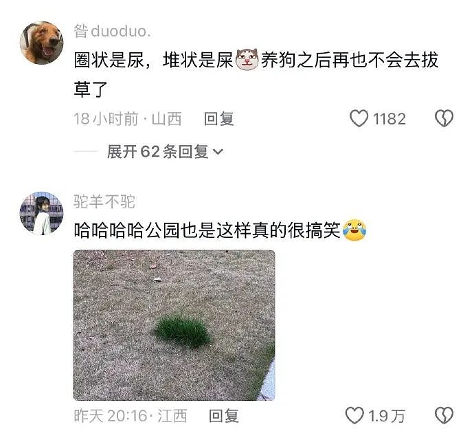 【爆笑】男朋友给不起8.8的彩礼，转身买了20w的车（组图） - 35