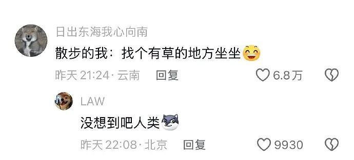 【爆笑】男朋友给不起8.8的彩礼，转身买了20w的车（组图） - 33