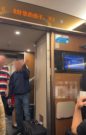 西九龙出发赴上海高铁现飞蚊大军！网友：无法忍受蚊子，另买票下车（视频/组图） - 2