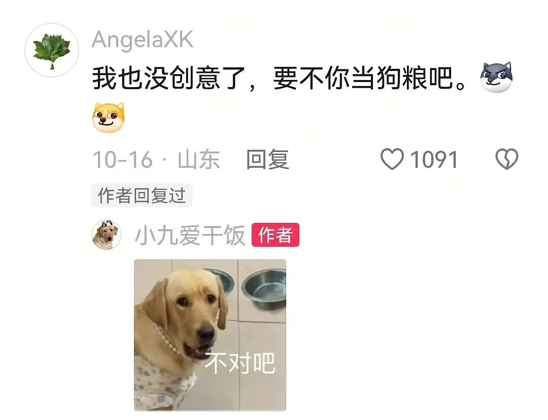 主人和网友合谋算计狗子,狗子察觉后两眼一睁就是演,脸上全是精髓…狗子:吃人嘴软,该配合你演出的我意思意思得了…(组图) - 21