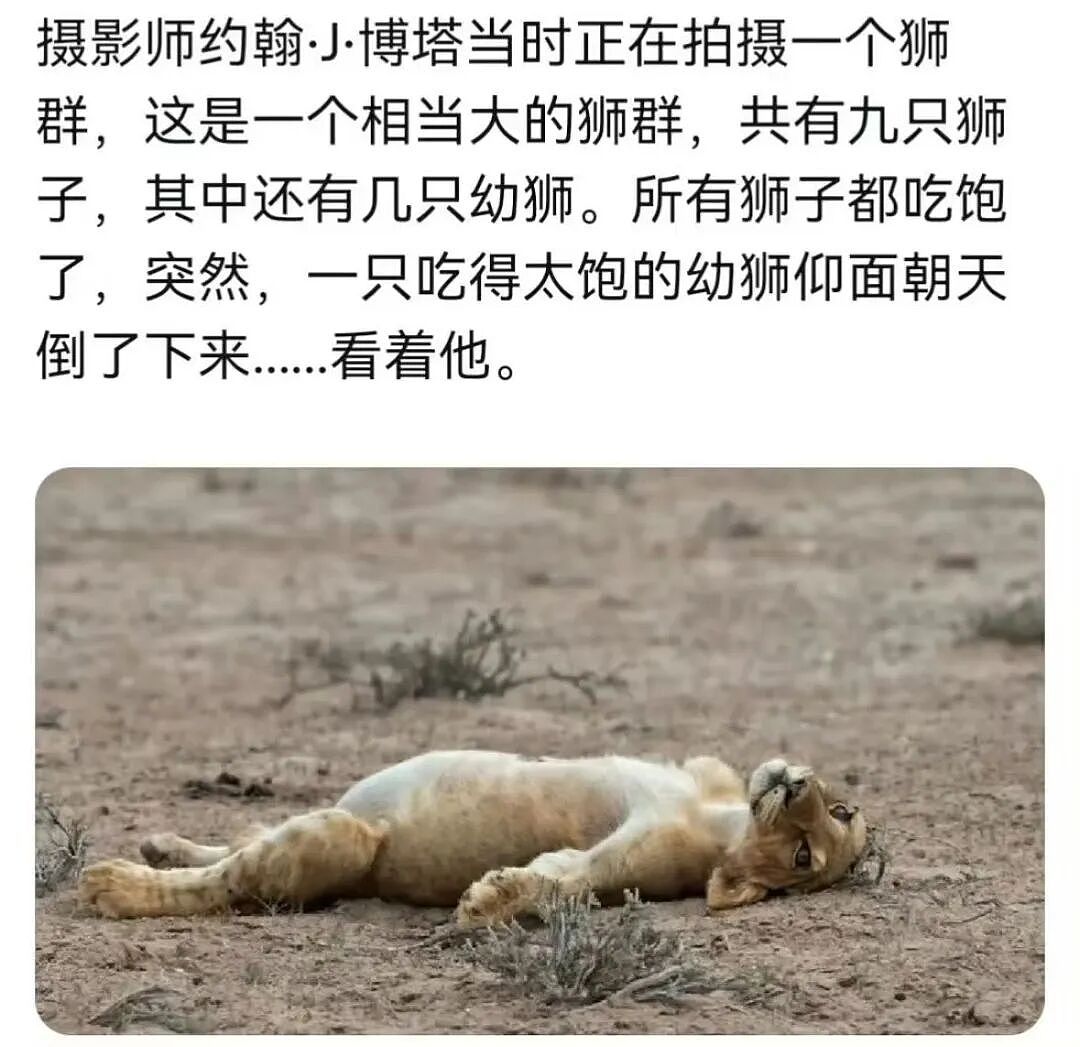 “打车遇到说教型司机如何重拳出击…？”哈哈哈人需要一些胡言乱语的能力！（组图） - 74
