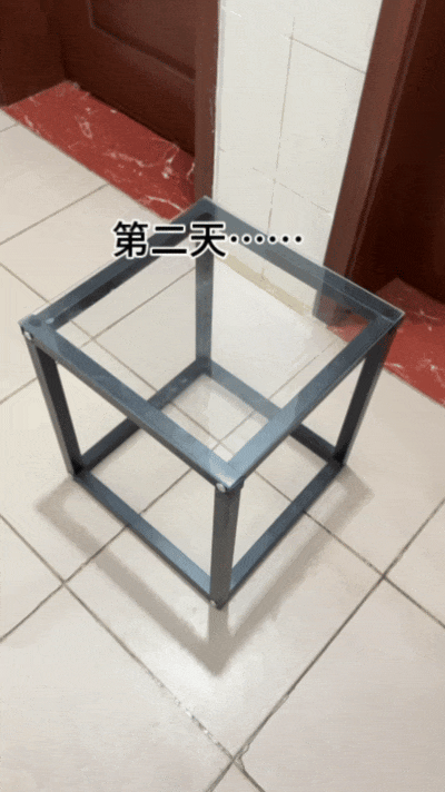 主人和网友合谋算计狗子,狗子察觉后两眼一睁就是演,脸上全是精髓…狗子:吃人嘴软,该配合你演出的我意思意思得了…(组图) - 5