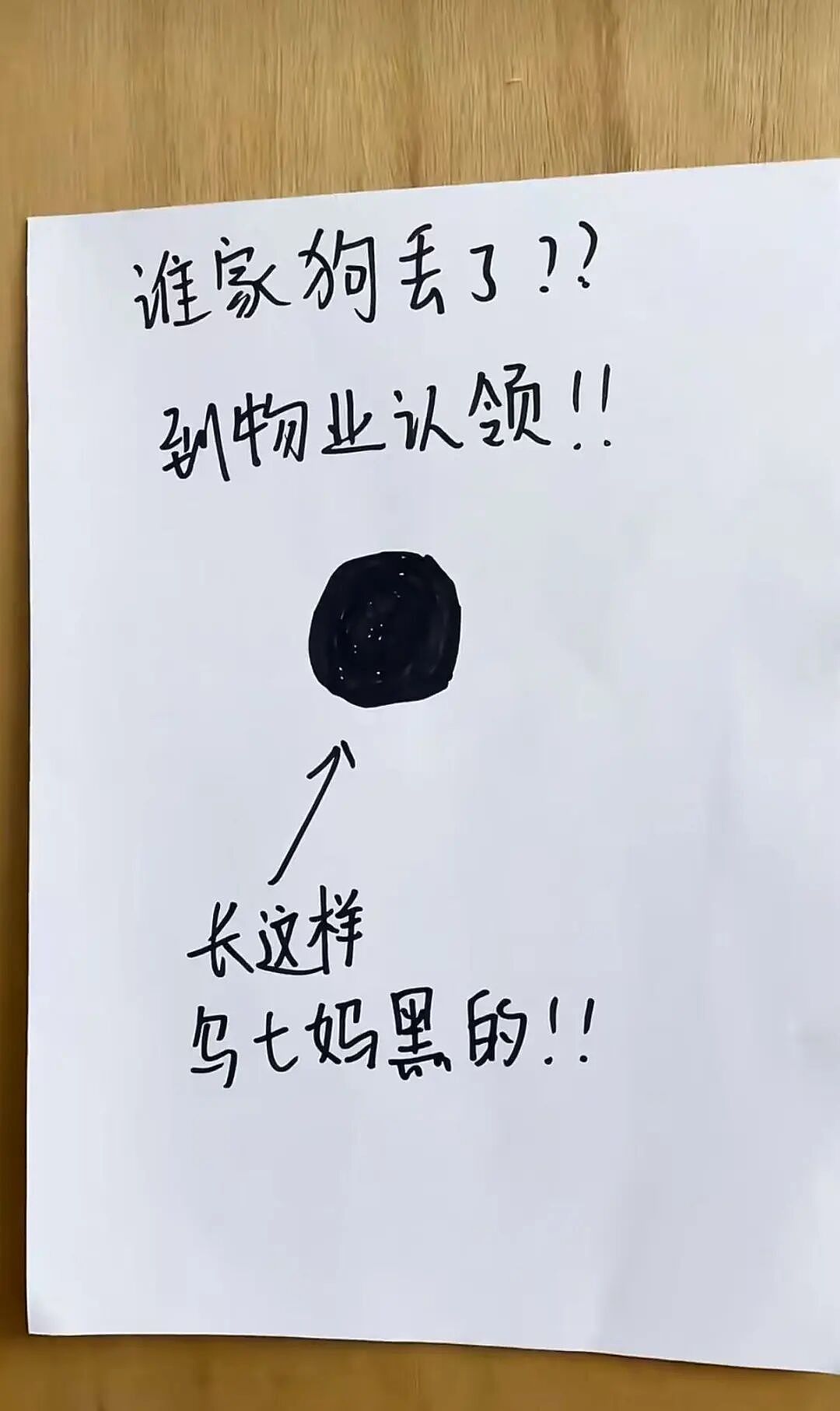 “打车遇到说教型司机如何重拳出击…？”哈哈哈人需要一些胡言乱语的能力！（组图） - 41