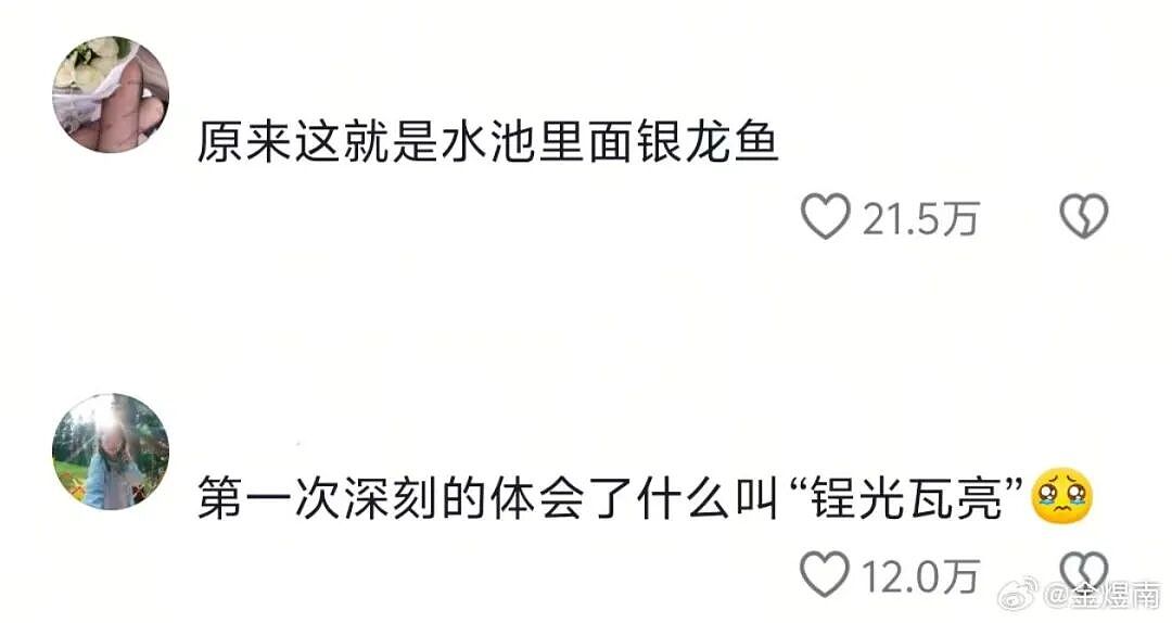 “打车遇到说教型司机如何重拳出击…？”哈哈哈人需要一些胡言乱语的能力！（组图） - 78