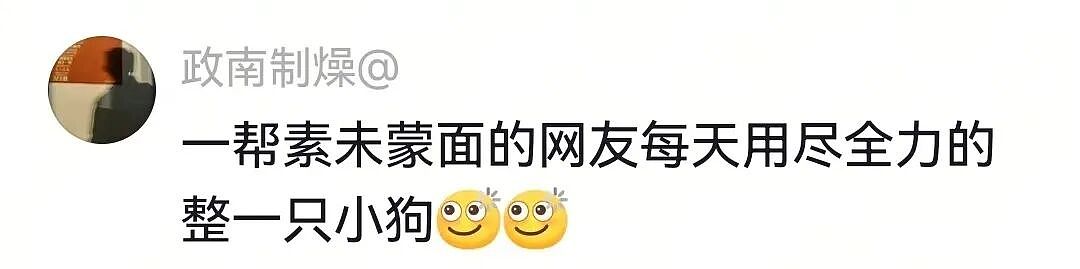 主人和网友合谋算计狗子,狗子察觉后两眼一睁就是演,脸上全是精髓…狗子:吃人嘴软,该配合你演出的我意思意思得了…(组图) - 18