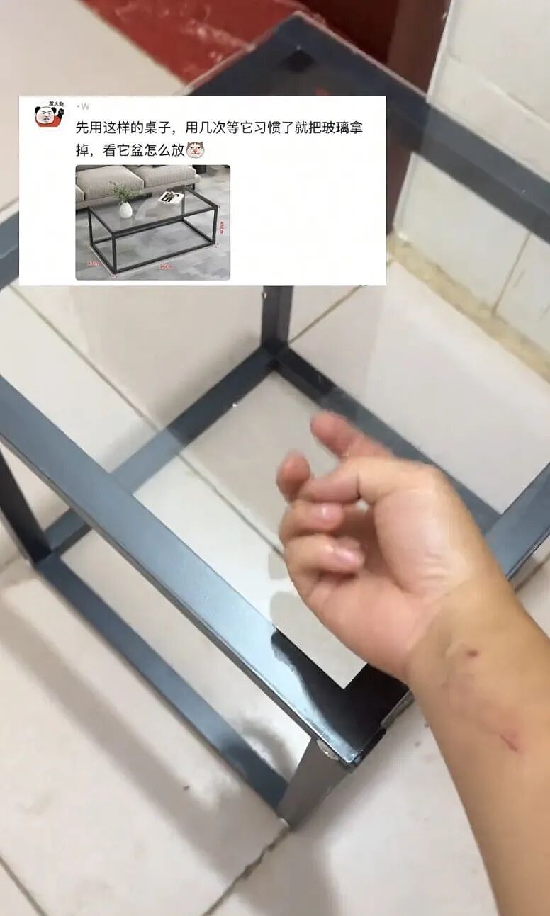主人和网友合谋算计狗子,狗子察觉后两眼一睁就是演,脸上全是精髓…狗子:吃人嘴软,该配合你演出的我意思意思得了…(组图) - 2