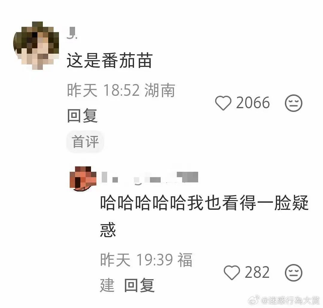 “打车遇到说教型司机如何重拳出击…？”哈哈哈人需要一些胡言乱语的能力！（组图） - 56