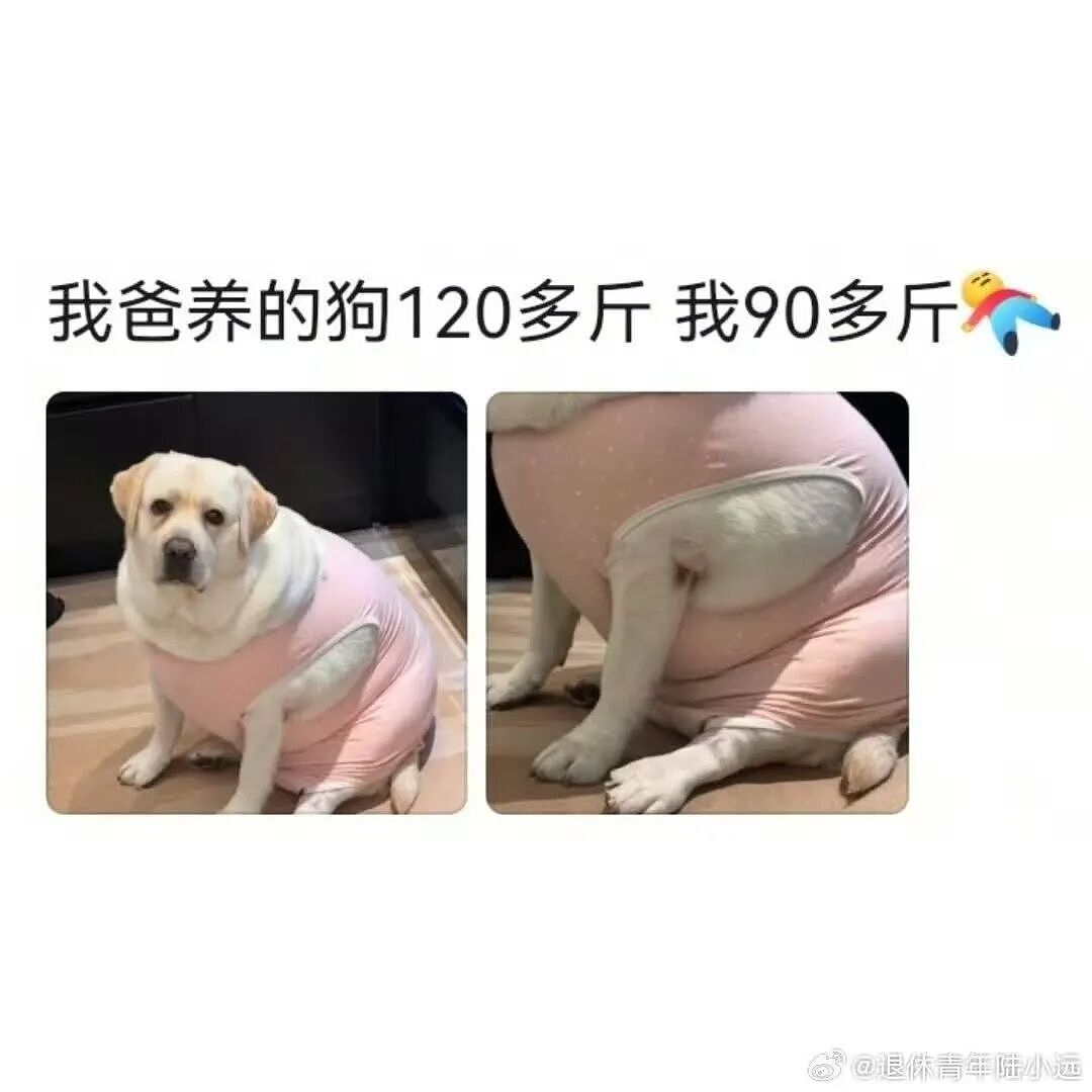 “打车遇到说教型司机如何重拳出击…？”哈哈哈人需要一些胡言乱语的能力！（组图） - 90
