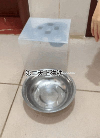 主人和网友合谋算计狗子,狗子察觉后两眼一睁就是演,脸上全是精髓…狗子:吃人嘴软,该配合你演出的我意思意思得了…(组图) - 13
