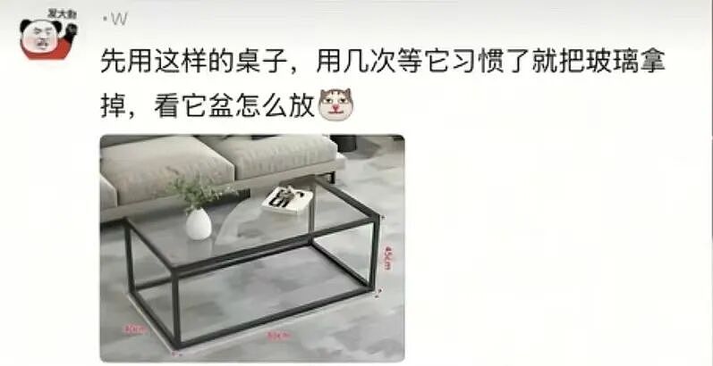 主人和网友合谋算计狗子,狗子察觉后两眼一睁就是演,脸上全是精髓…狗子:吃人嘴软,该配合你演出的我意思意思得了…(组图) - 1