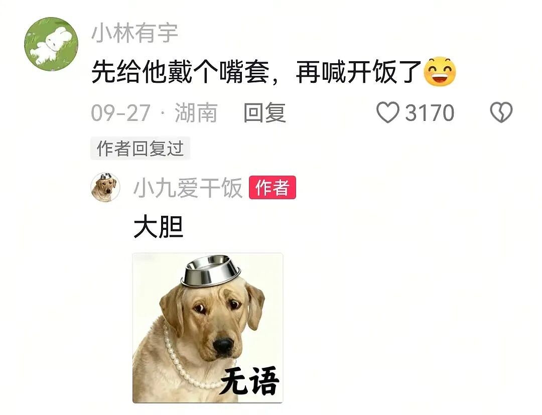 主人和网友合谋算计狗子,狗子察觉后两眼一睁就是演,脸上全是精髓…狗子:吃人嘴软,该配合你演出的我意思意思得了…(组图) - 20