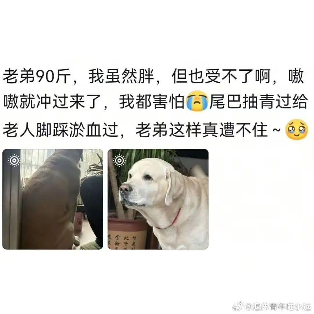 “打车遇到说教型司机如何重拳出击…？”哈哈哈人需要一些胡言乱语的能力！（组图） - 91