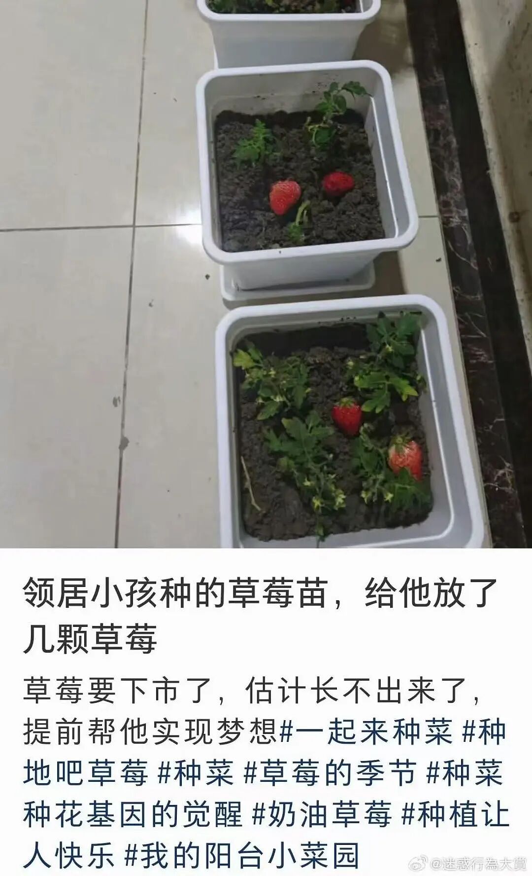 “打车遇到说教型司机如何重拳出击…？”哈哈哈人需要一些胡言乱语的能力！（组图） - 55