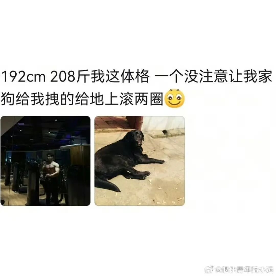 “打车遇到说教型司机如何重拳出击…？”哈哈哈人需要一些胡言乱语的能力！（组图） - 92