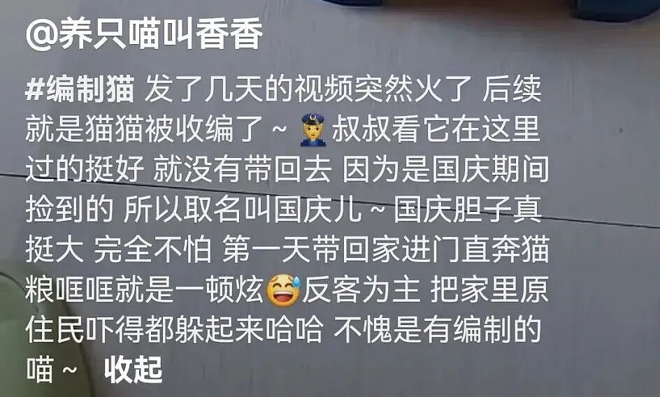 【宠物】妹子毕业把流浪猫打包带走,一看告示网友都震惊:这是8辆卡车打包成zip啊?(组图) - 16