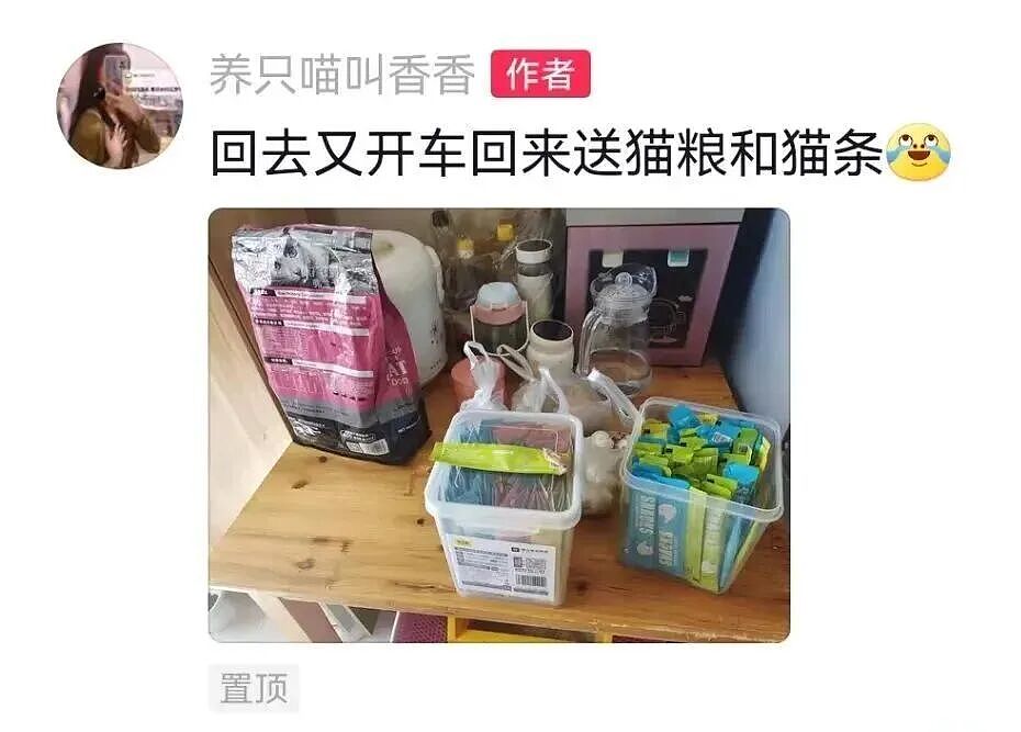 【宠物】妹子毕业把流浪猫打包带走,一看告示网友都震惊:这是8辆卡车打包成zip啊?(组图) - 17