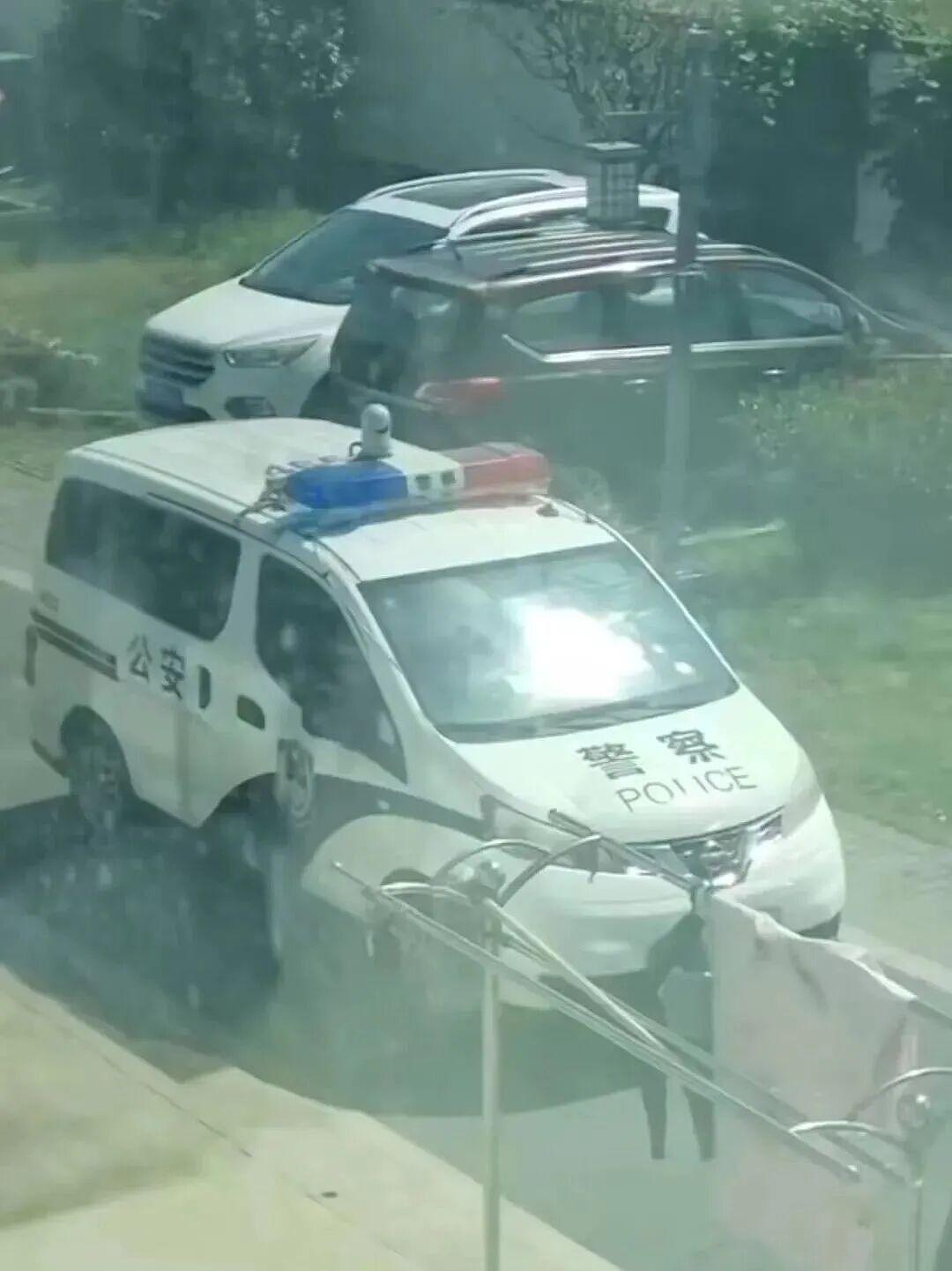 【宠物】妹子毕业把流浪猫打包带走,一看告示网友都震惊:这是8辆卡车打包成zip啊?(组图) - 14