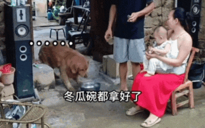主人不仅抢了狗子的奶，还炸了人家盆，但狗子非但不记仇，反而还救了人…网友：格局一下子就打开了…（组图） - 10