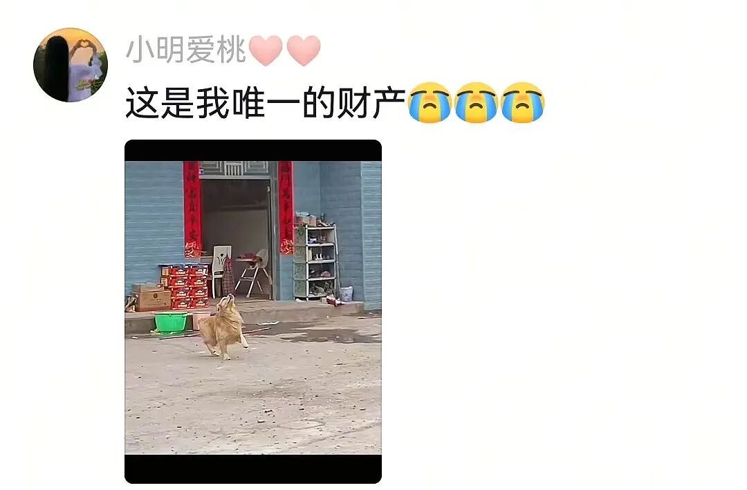 主人不仅抢了狗子的奶，还炸了人家盆，但狗子非但不记仇，反而还救了人…网友：格局一下子就打开了…（组图） - 17