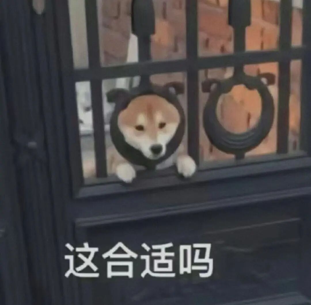 主人不仅抢了狗子的奶，还炸了人家盆，但狗子非但不记仇，反而还救了人…网友：格局一下子就打开了…（组图） - 6