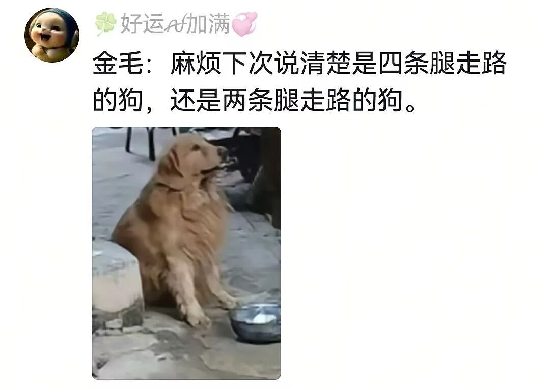 主人不仅抢了狗子的奶，还炸了人家盆，但狗子非但不记仇，反而还救了人…网友：格局一下子就打开了…（组图） - 7