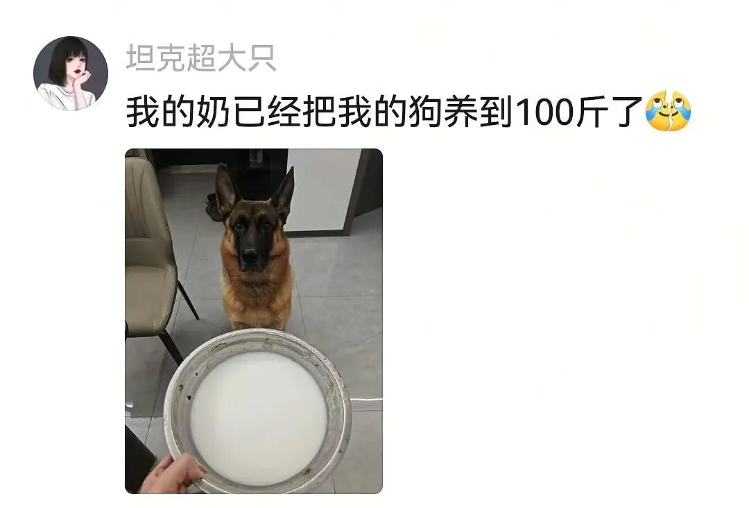 主人不仅抢了狗子的奶，还炸了人家盆，但狗子非但不记仇，反而还救了人…网友：格局一下子就打开了…（组图） - 12