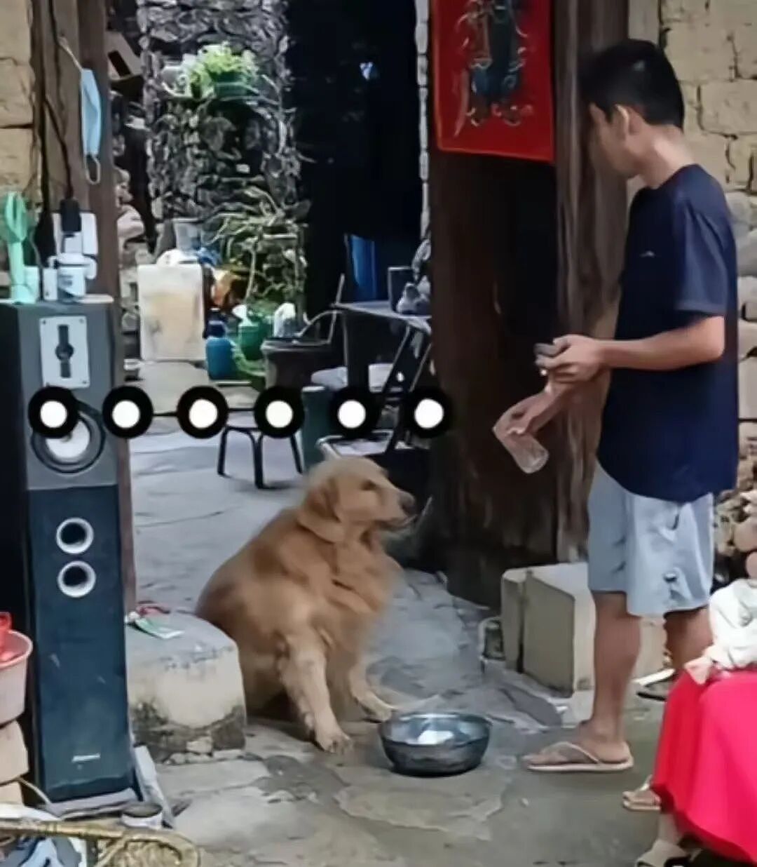 主人不仅抢了狗子的奶，还炸了人家盆，但狗子非但不记仇，反而还救了人…网友：格局一下子就打开了…（组图） - 4