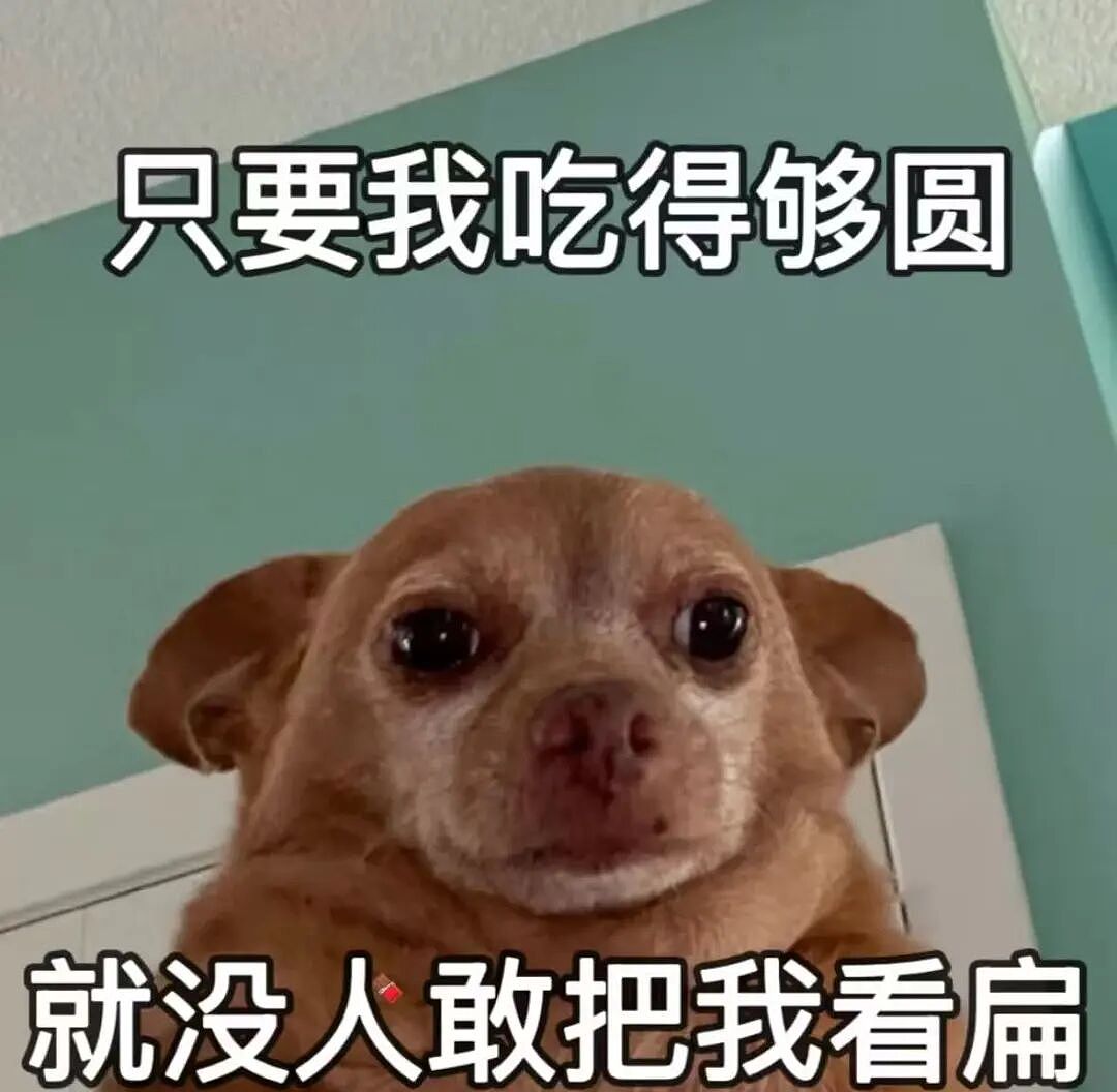 主人不仅抢了狗子的奶，还炸了人家盆，但狗子非但不记仇，反而还救了人…网友：格局一下子就打开了…（组图） - 11