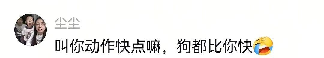 主人不仅抢了狗子的奶，还炸了人家盆，但狗子非但不记仇，反而还救了人…网友：格局一下子就打开了…（组图） - 8