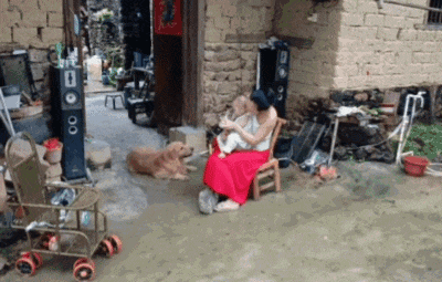 主人不仅抢了狗子的奶，还炸了人家盆，但狗子非但不记仇，反而还救了人…网友：格局一下子就打开了…（组图） - 2