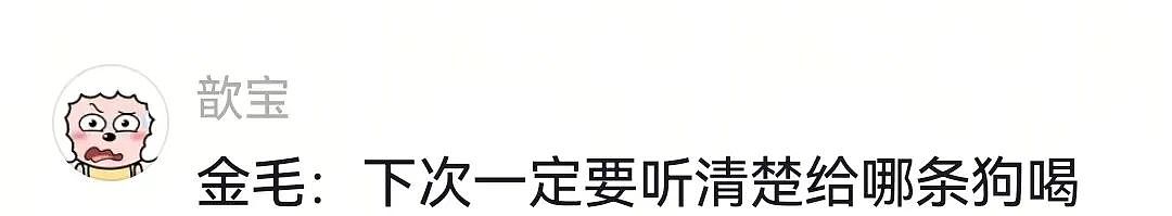 主人不仅抢了狗子的奶，还炸了人家盆，但狗子非但不记仇，反而还救了人…网友：格局一下子就打开了…（组图） - 5