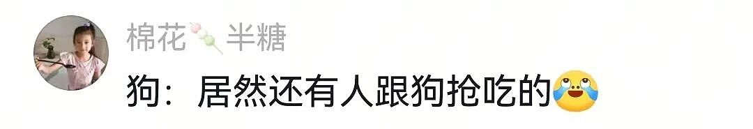 主人不仅抢了狗子的奶，还炸了人家盆，但狗子非但不记仇，反而还救了人…网友：格局一下子就打开了…（组图） - 9