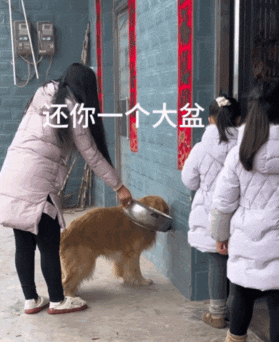 主人不仅抢了狗子的奶，还炸了人家盆，但狗子非但不记仇，反而还救了人…网友：格局一下子就打开了…（组图） - 16