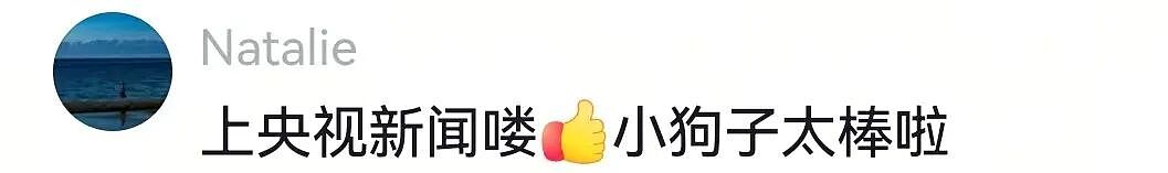 主人不仅抢了狗子的奶，还炸了人家盆，但狗子非但不记仇，反而还救了人…网友：格局一下子就打开了…（组图） - 23