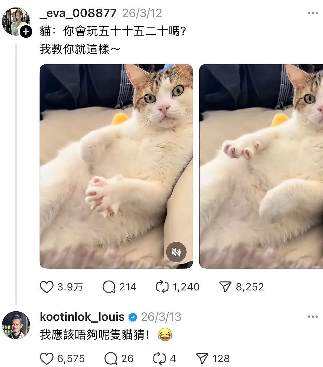 【宠物】古天乐每天两眼一睁就开始上网撸猫（组图） - 11