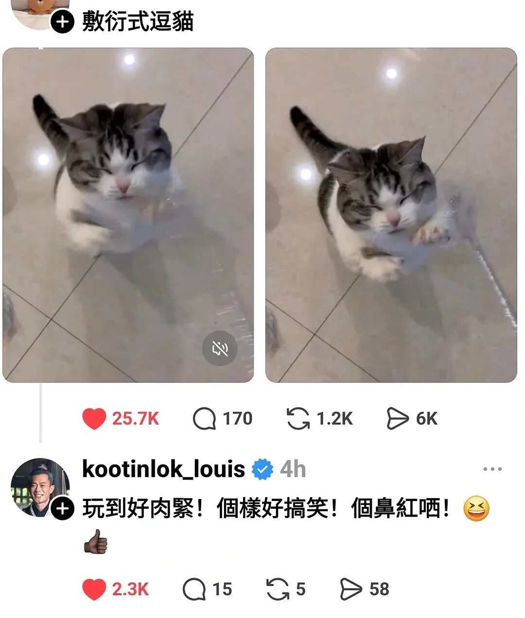 【宠物】古天乐每天两眼一睁就开始上网撸猫（组图） - 6