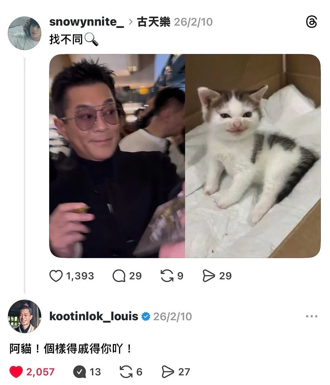 【宠物】古天乐每天两眼一睁就开始上网撸猫（组图） - 9