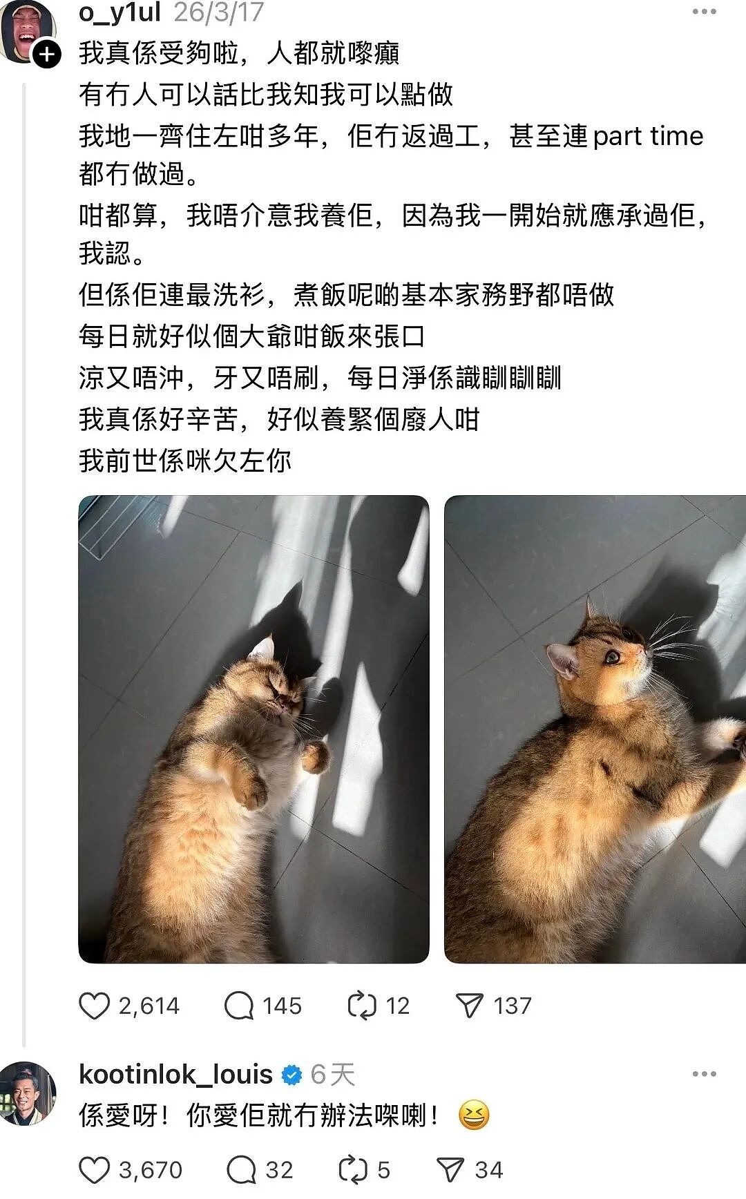 【宠物】古天乐每天两眼一睁就开始上网撸猫（组图） - 13