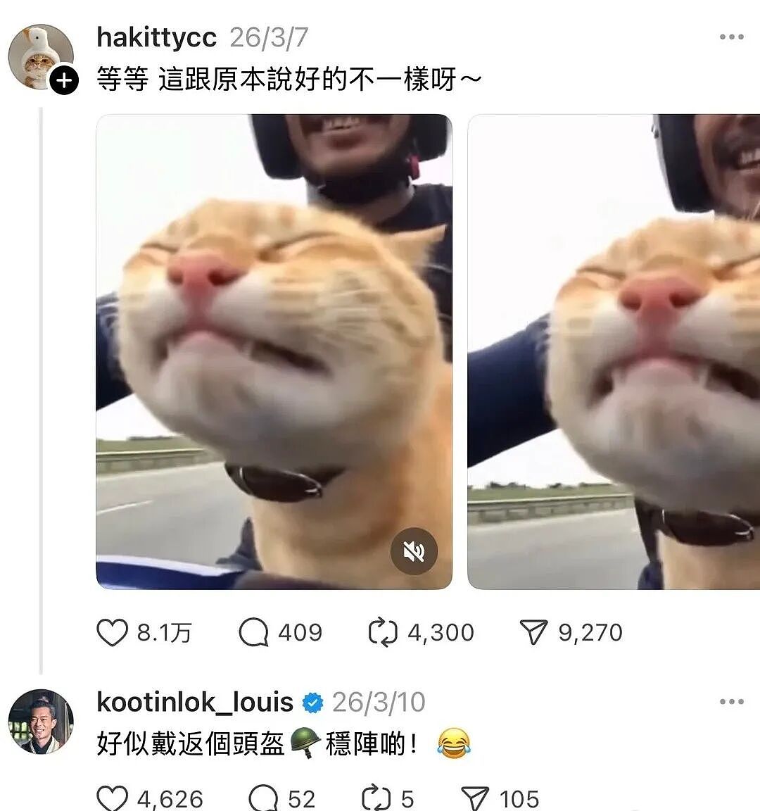 【宠物】古天乐每天两眼一睁就开始上网撸猫（组图） - 7