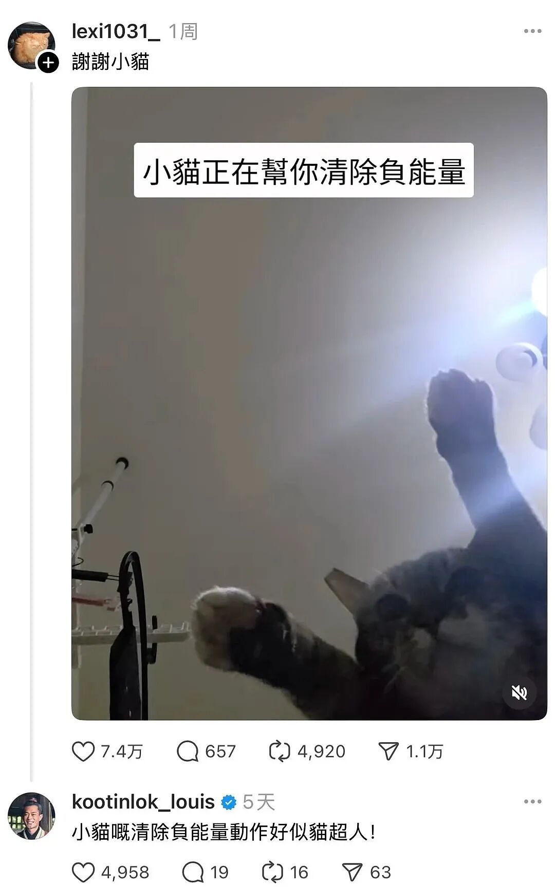 【宠物】古天乐每天两眼一睁就开始上网撸猫（组图） - 3