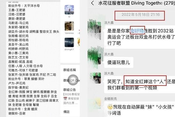 全红婵报警了!百人微信霸凌群造谣做鸡,陈芋汐也在群里(组图) - 3