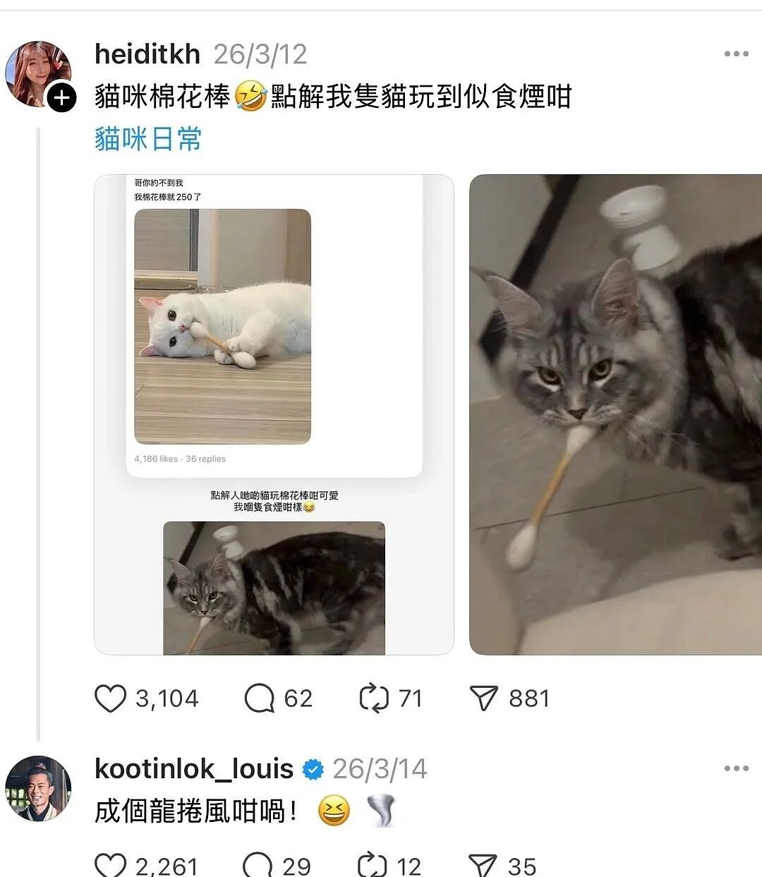 【宠物】古天乐每天两眼一睁就开始上网撸猫（组图） - 10