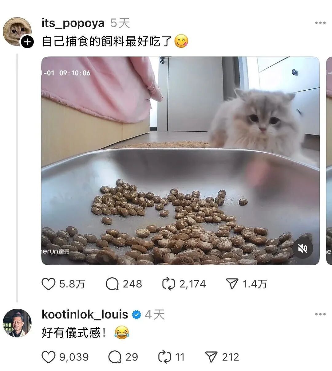 【宠物】古天乐每天两眼一睁就开始上网撸猫（组图） - 2
