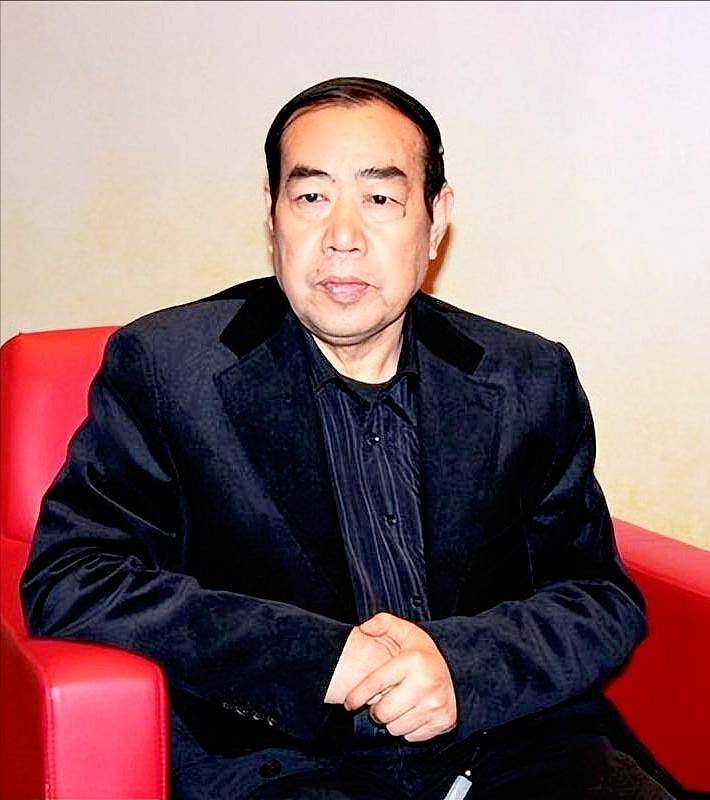 贾平凹之女贾浅浅：多篇论文被指抄袭，单亲家庭长大的她婚姻幸福（组图） - 11