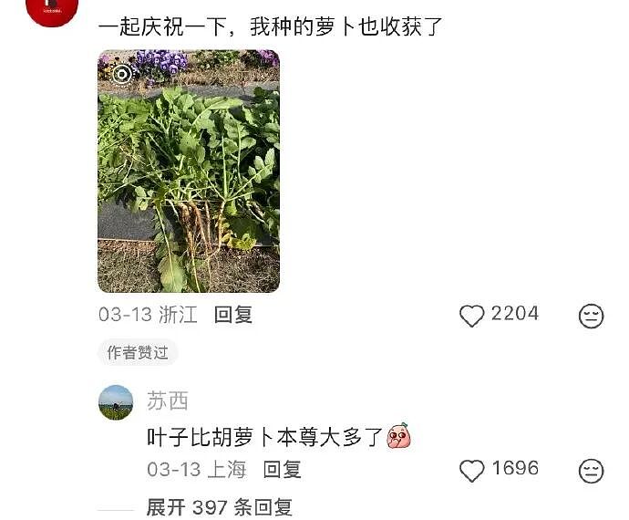 【爆笑】男朋友昨晚没回家，在我逼问下说了这些，我该怎么办？ ​​​（组图） - 62