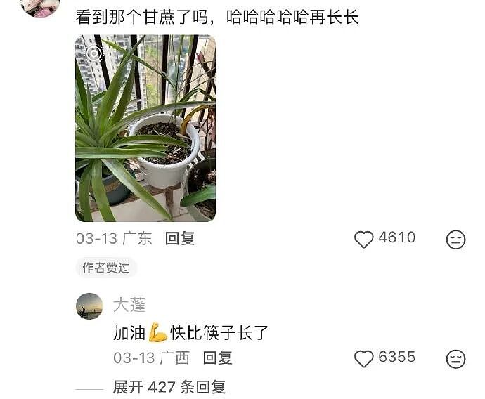 【爆笑】男朋友昨晚没回家，在我逼问下说了这些，我该怎么办？ ​​​（组图） - 61