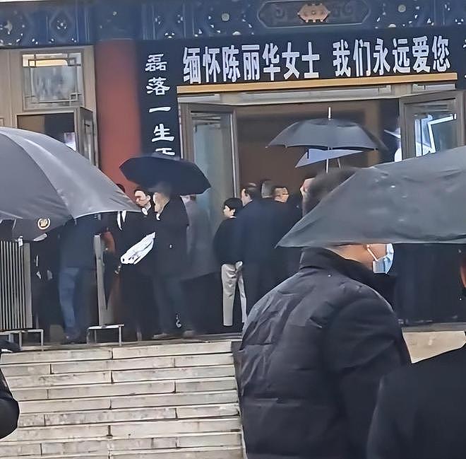 陈丽华告别仪式，马德华掩面哭泣，朱军白岩松胸前戴白花悼念（组图） - 14
